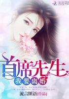 首席先生，我要离婚首席先生，我要离婚
